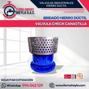 VÁLVULA CHECK CANASTILLA | BRIDADO HIERRO DÚCTIL