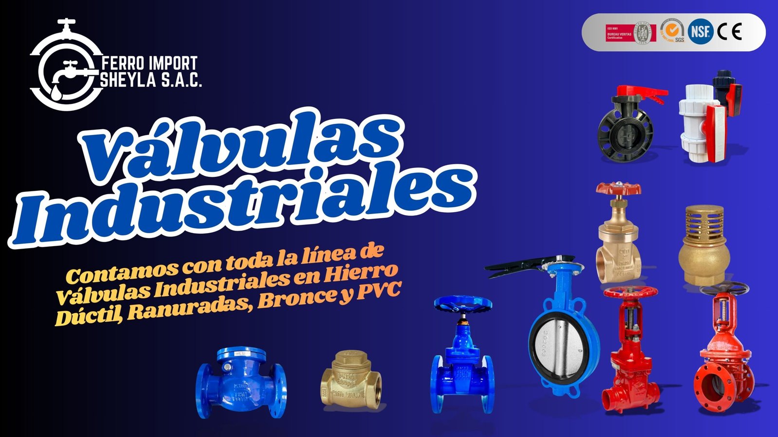 VALVULAS PRESENTACION